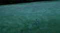 Friends Video