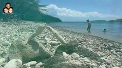 Watch Video